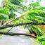 মাঝারি ধরনের ঝড় বন্যা হবে এবার