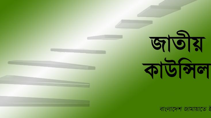 জাতীয় কাউন্সিল