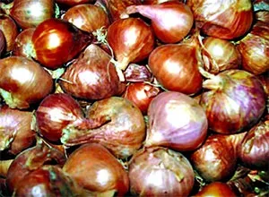 আবারো ঝাঁজ বেড়েছে পিয়াজের