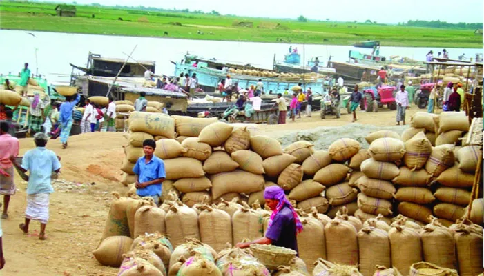 সরকারিভাবে কেনা শুরু হয়নি, বাজার মিলারদের নিয়ন্ত্রণে