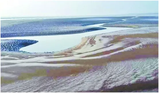তিস্তার মূল প্রবাহের ৮০ শতাংশ প্রত্যাহার করে নিচ্ছে ভারত: যমুনার পেটে অসংখ্য চর জেগে সঙ্কুচিত হয়েছে নৌপথ