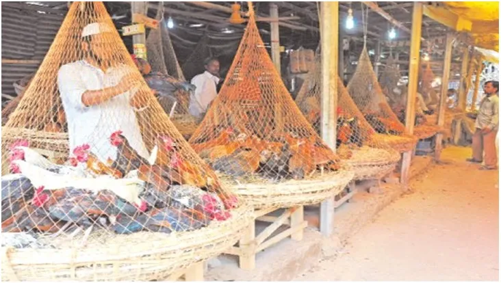 মুরগির বাজার অস্থির বেড়েছে মরিচের দাম