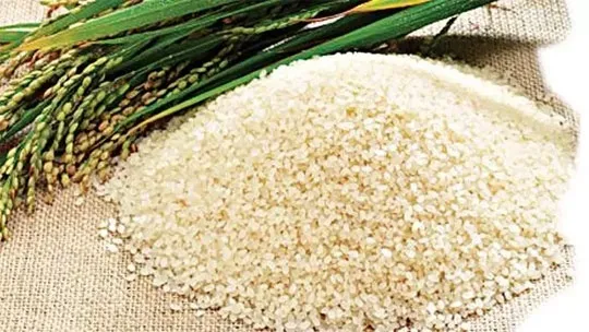 ধানের দাম কম, চালে ঊর্ধ্বগতি : অরক্ষিত কৃষকের স্বার্থ