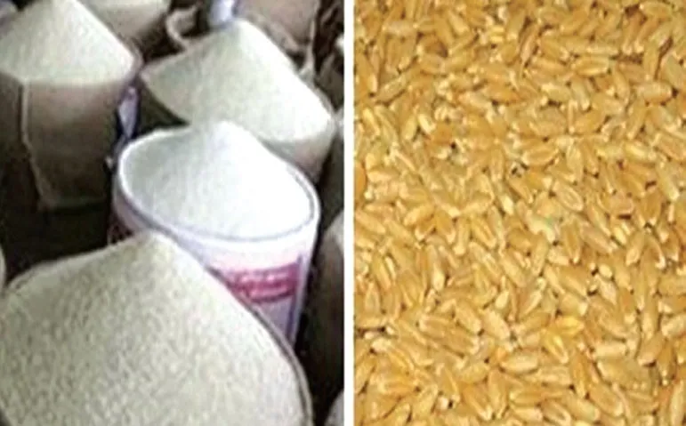 খাদ্যশস্য আমদানিতে রেকর্ড