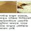চালে বাজেটের উত্তাপ