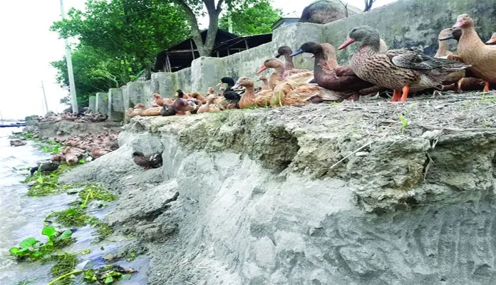 ৩৩ লাখ টাকার রাস্তা দুই মাসেই পানিতে