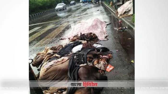 বিক্রির অপেক্ষায় কাঁচা চামড়া