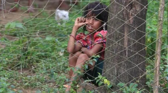 ‘বাংলাদেশে আসা প্রতি দুই রোহিঙ্গা শিশুর একজন মা-বাবা হারিয়েছে’