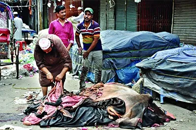 ‘চামড়া সিন্ডিকেটে রাজনৈতিক কর্মী, ক্লাব’