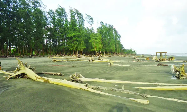 বিলুপ্তির পথে কুয়াকাটা জাতীয় উদ্যান