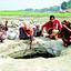 ভরাট আর দখল-দূষণে বিপন্ন ধলেশ্বরী