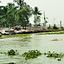 পদ্মার ডান তীরে ভাঙন ফের আতঙ্ক