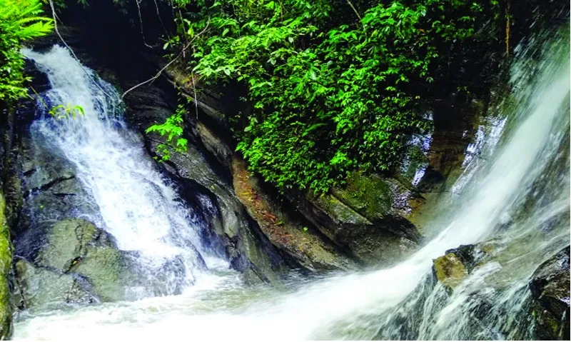 জিডিপিতে পর্যটনের অবদান কমছে