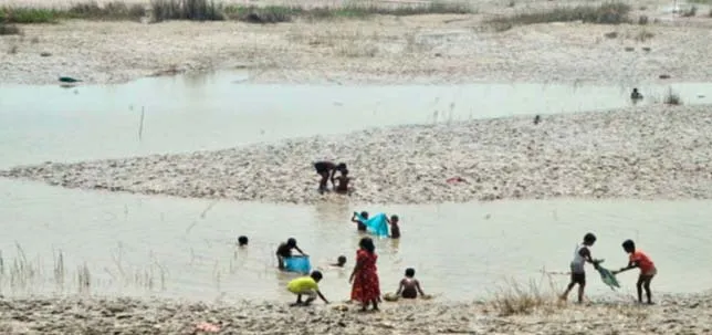রাজশাহীতে পদ্মায় হঠাৎ করে চরের বিস্তার ॥ কমছে পানি ভাঙছে পাড়