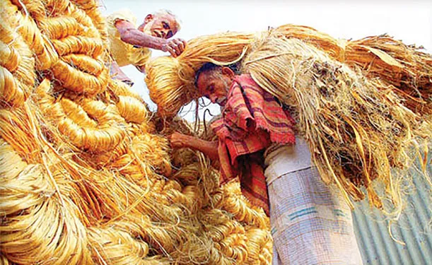 কাঁচাপাট সংকটে খুলনা-যশোর অঞ্চলের রাষ্ট্রায়ত্ত নয়টি পাটকলের উৎপাদন ব্যাহত