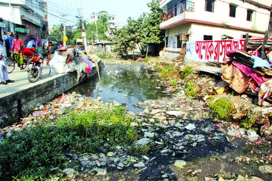 ১১ জনের মৃত্যু : ডেঙ্গু আতঙ্কে নগরবাসী