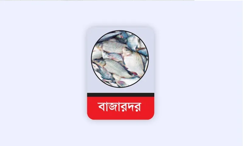 দেশি মাছের দাম লাগামছাড়া