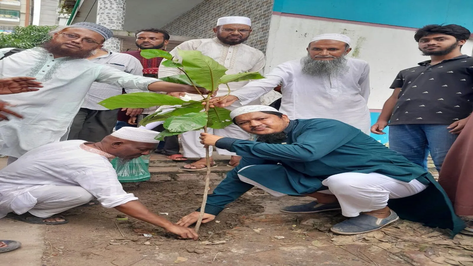 গাছ শুধু রোপন করলেই হবে না এটিকে পরিচর্যা করে বাঁচিয়ে রাখতে হবে