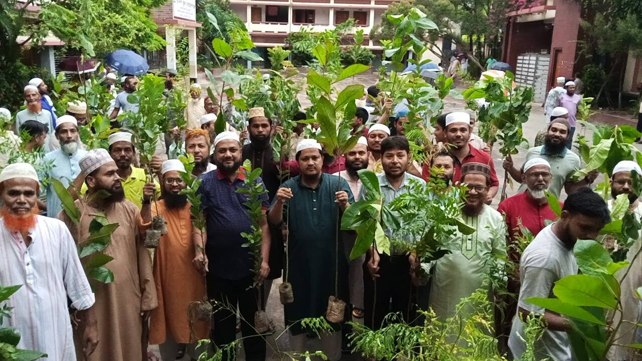 গাছ-২